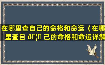 在哪里查自己的命格和命运（在哪里查自 🦁 己的命格和命运详解）